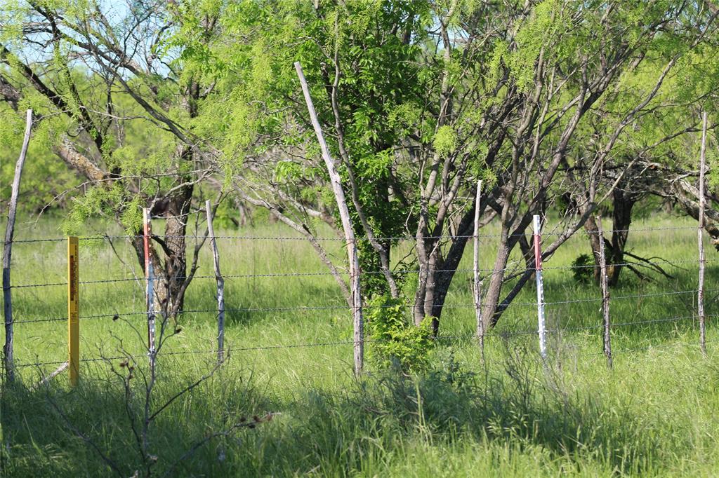 2077 A Shawver Road Perrin, TX 76486 - Photo 34 of 35 a backyard of a house with lots of plants and tree