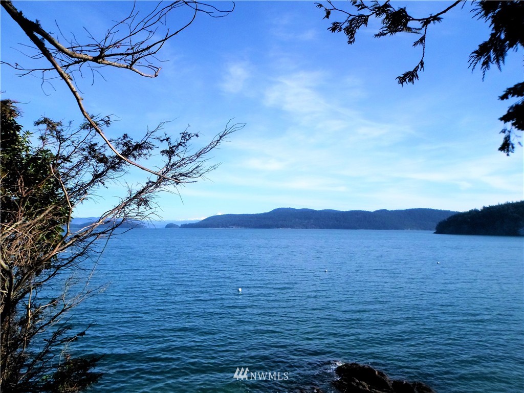 259 Ferry Road Lopez Island, WA 98261 - Photo 9 of 18