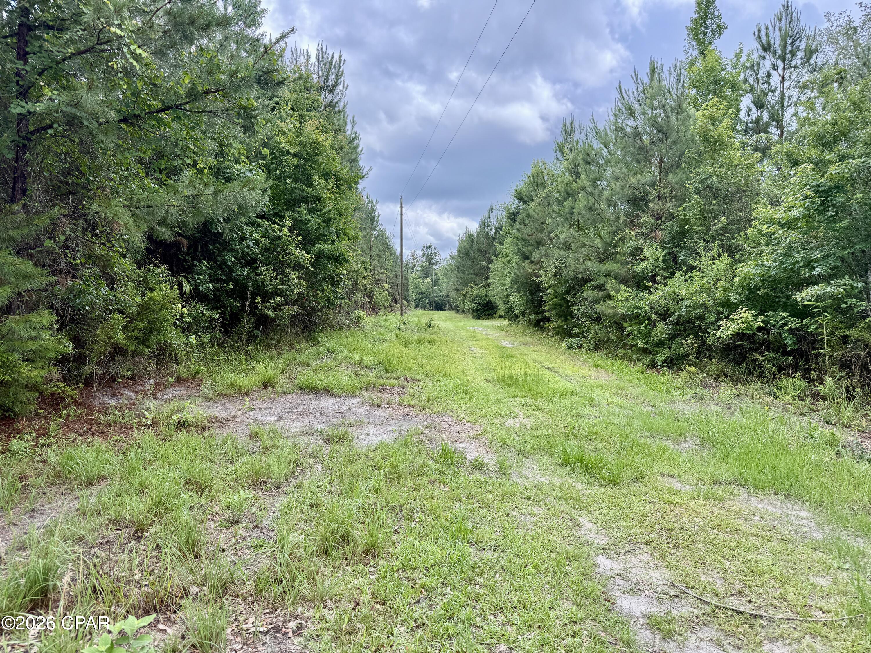 14567 C J Roberts Road Blountstown, FL 32424 - Photo 21 of 38