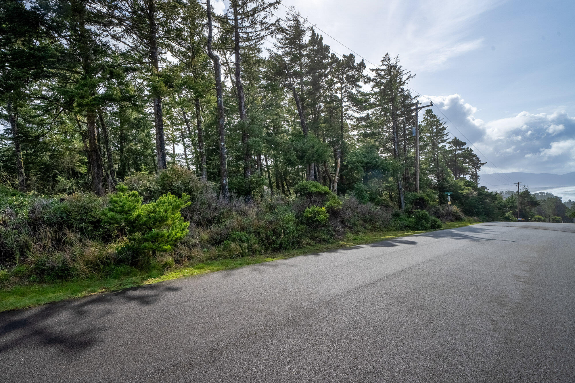 303 Ridgewood Road Tillamook, OR 97141 - Photo 4 of 10 lot is on the left