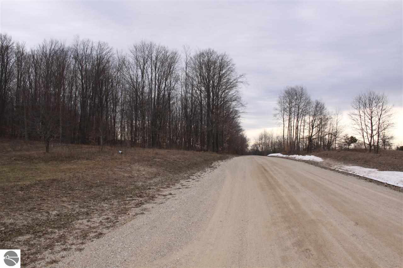 3353 East 2 1/2 Road Kingsley, MI 49649 - Photo 16 of 48 1783353-15.JPG
