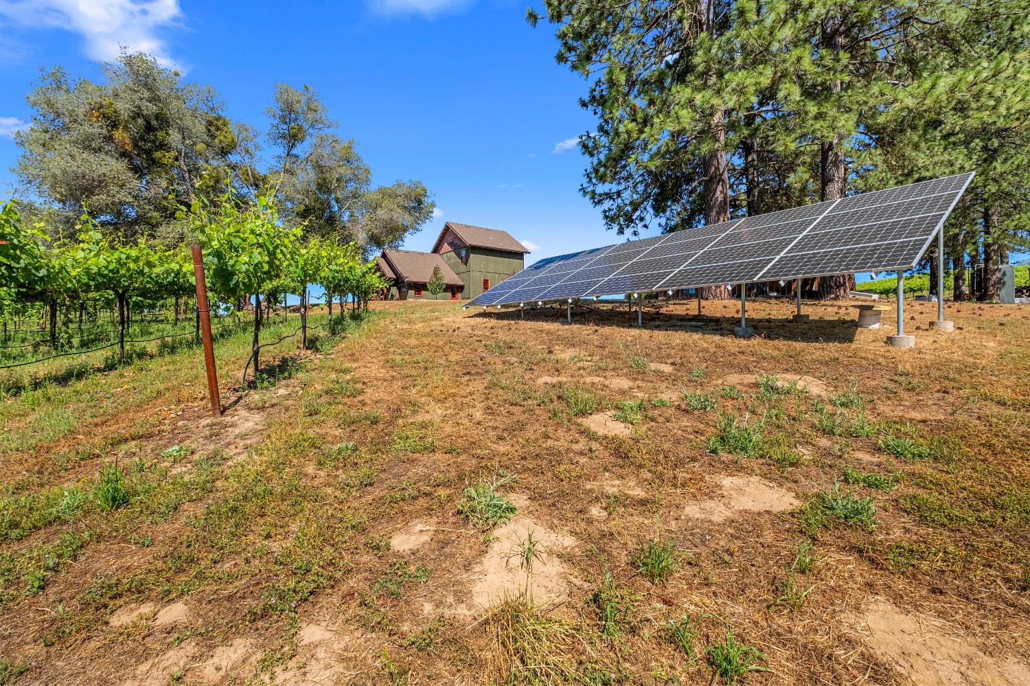 7330 Perry Creek Road Somerset, CA 95684 - Photo 54 of 57