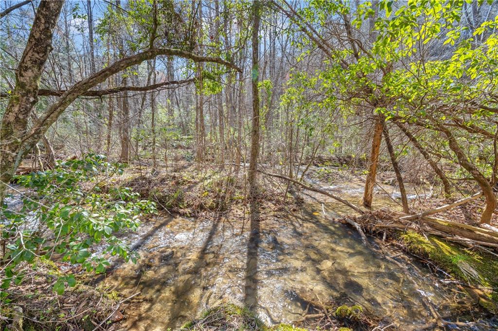 740 Little Rock Creek Road Cherry Log, GA 30522 - Photo 50 of 98
