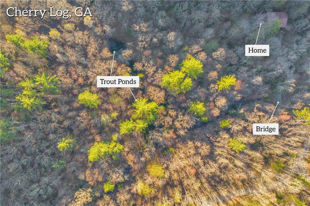 740 Little Rock Creek Road Cherry Log, GA 30522 - Photo 84 of 98 a sign that is sitting in a backyard