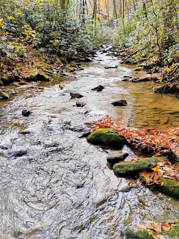 740 Little Rock Creek Road Cherry Log, GA 30522 - Photo 88 of 98