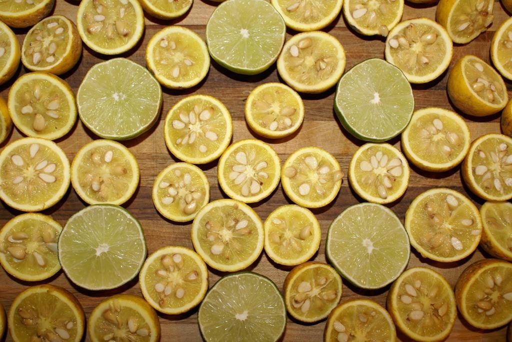 740 Little Rock Creek Road Cherry Log, GA 30522 - Photo 92 of 98