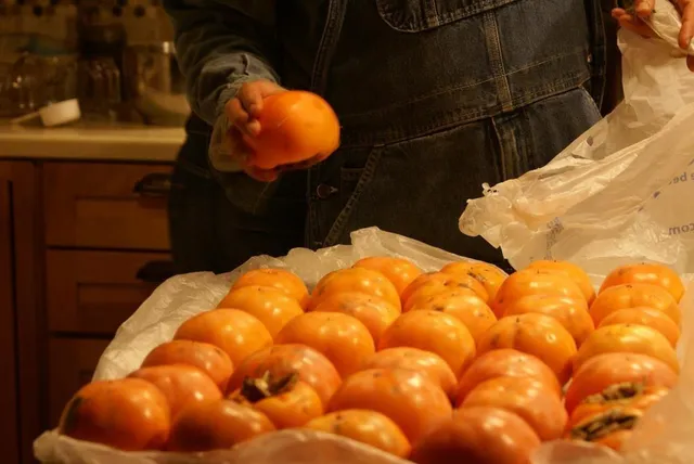 $2,190,000 | 740 Little Rock Creek Road, Cherry Log, GA 30522