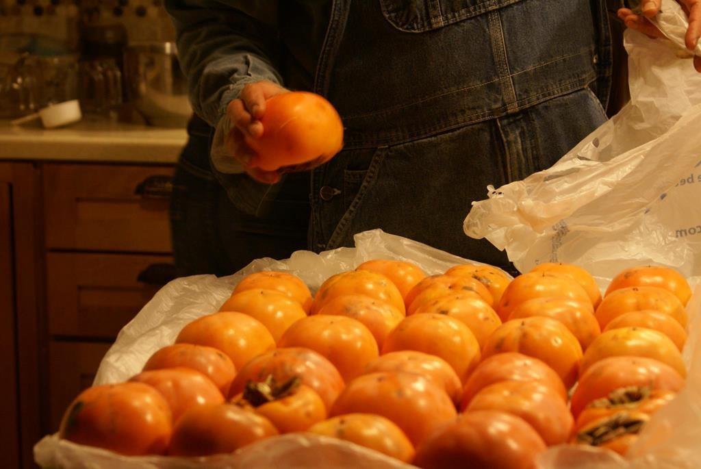 740 Little Rock Creek Road Cherry Log, GA 30522 - Photo 93 of 98 a bathroom with a sink and mirror