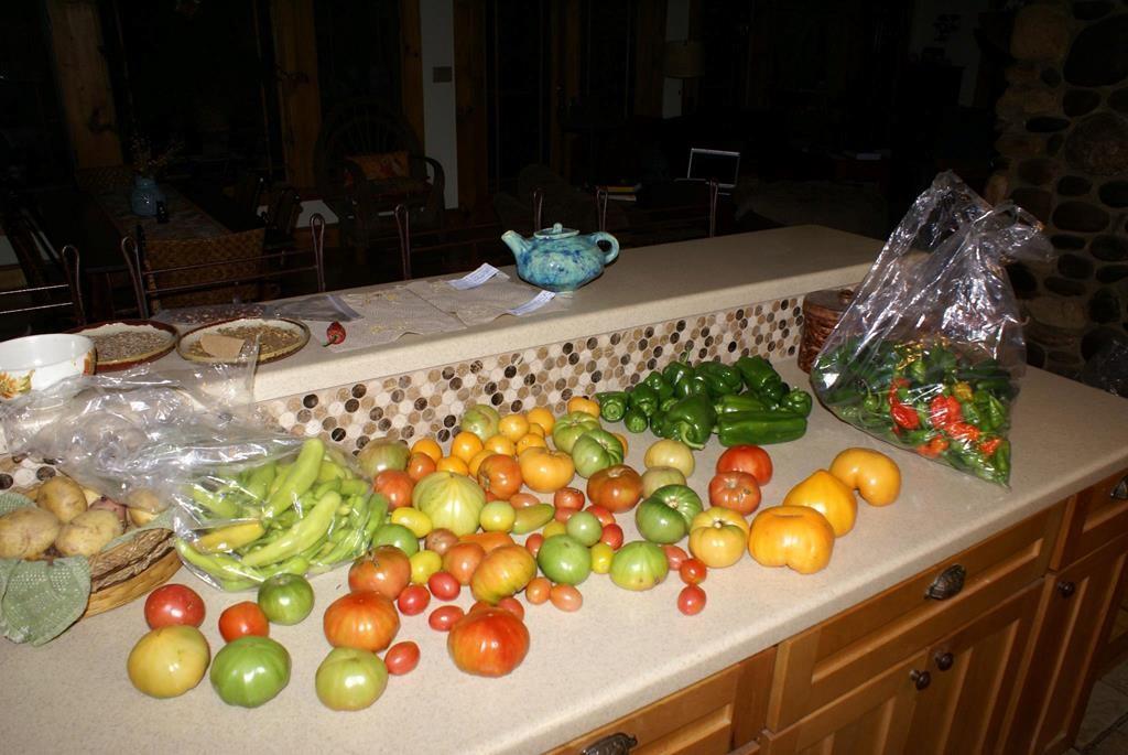 740 Little Rock Creek Road Cherry Log, GA 30522 - Photo 94 of 98