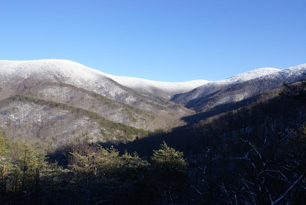 740 Little Rock Creek Road Cherry Log, GA 30522 - Photo 95 of 98
