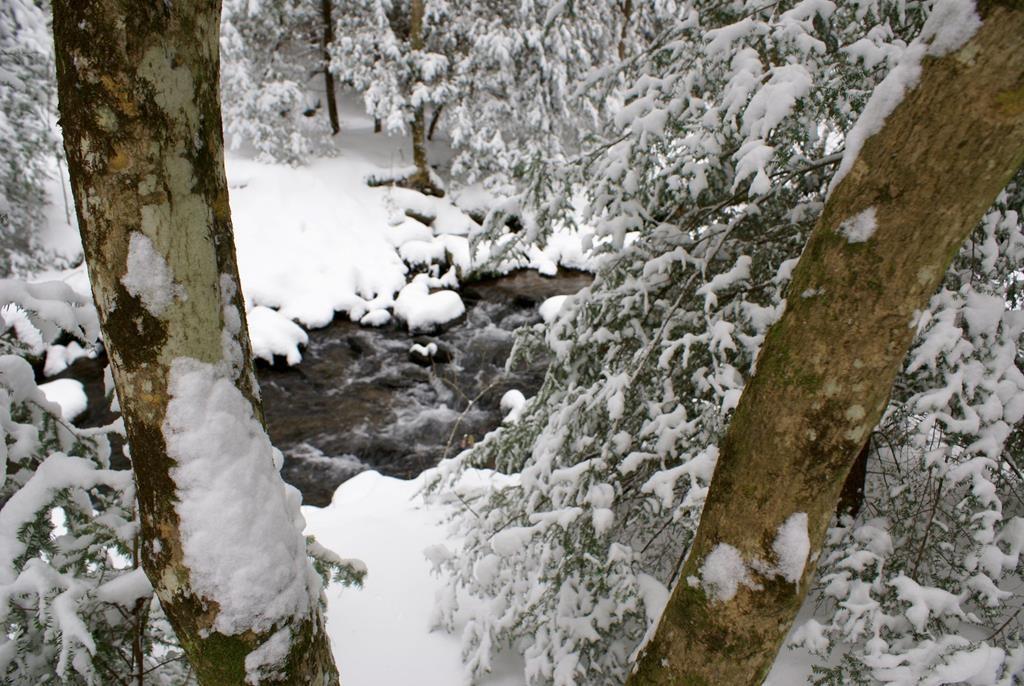 740 Little Rock Creek Road Cherry Log, GA 30522 - Photo 96 of 98