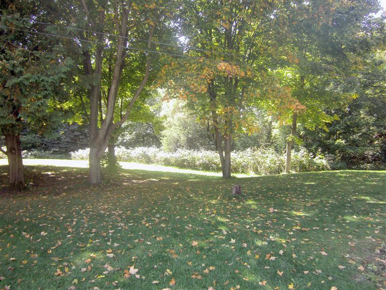 4747 Myrtle Road Reed City, MI 49677 - Photo 24 of 24 Additional Photo