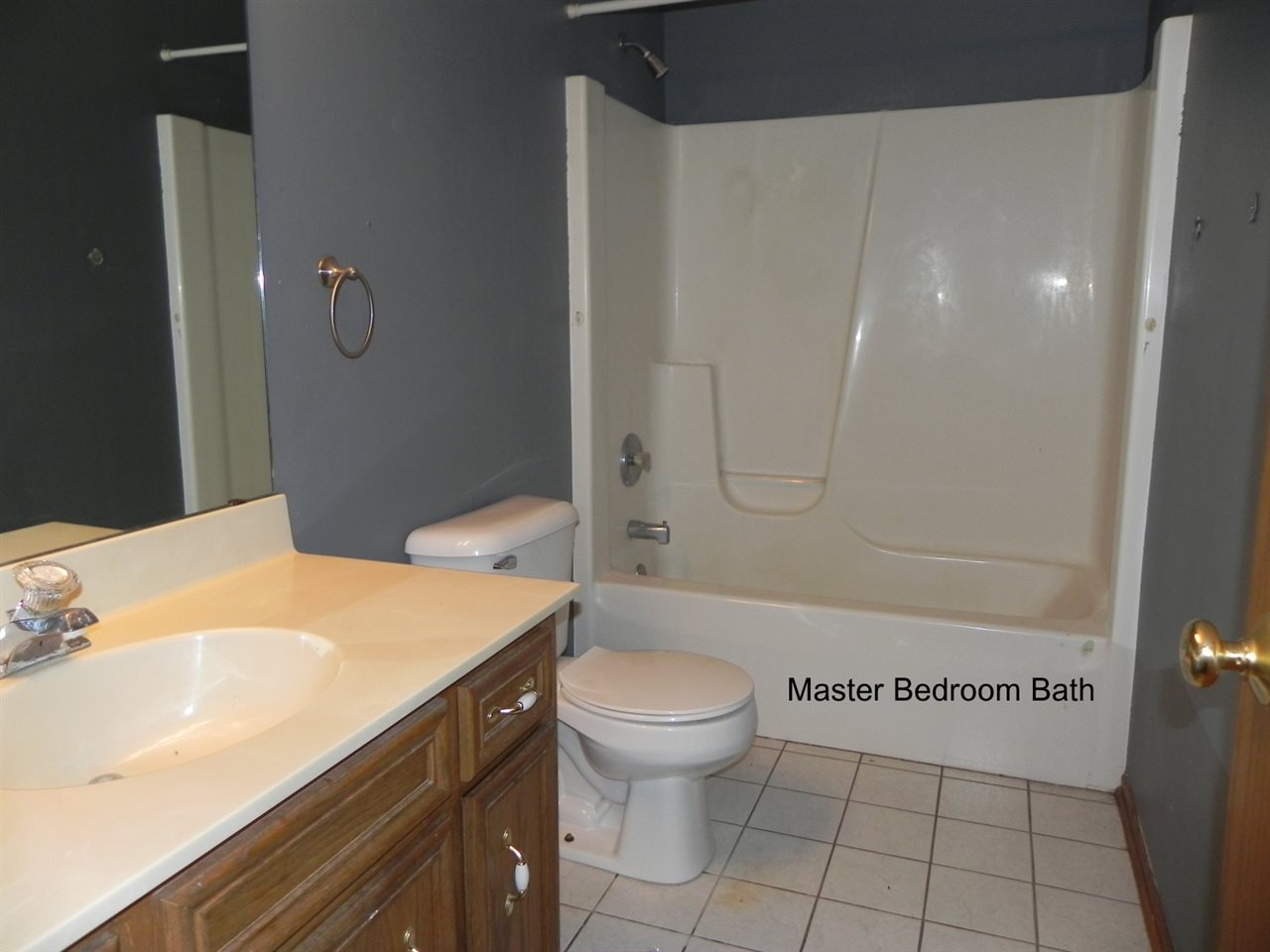 2276 Drexel Road Davis, IL 61019 - Photo 10 of 17 a bathroom with a sink a toilet and shower
