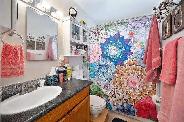 a bathroom with a sink toilet and shower curtain