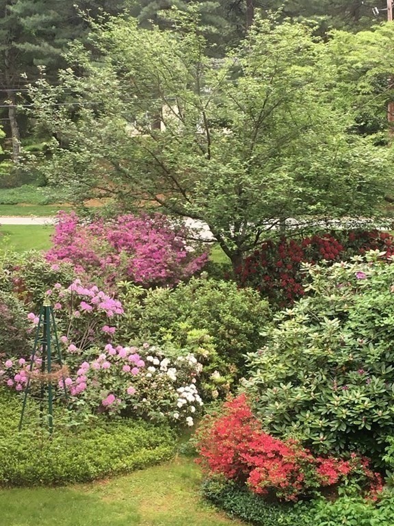 3 Saddle Ridge Road Dover, MA 02030 - Photo 32 of 36 Gallery Image 32