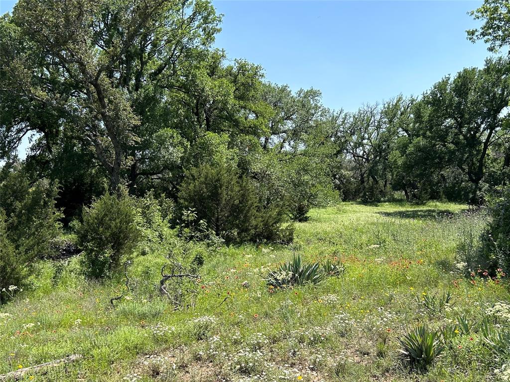 341 West Fm 574 Goldthwaite, TX 76844 - Photo 11 of 40