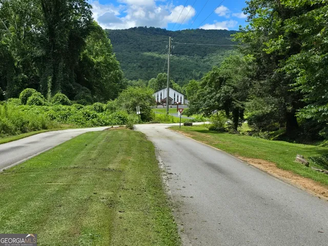 a view of a green field with a tree
