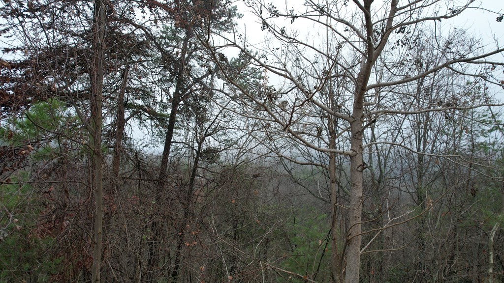 31 Grouse Ridge Lane Sevierville, TN 37862 - Photo 10 of 17
