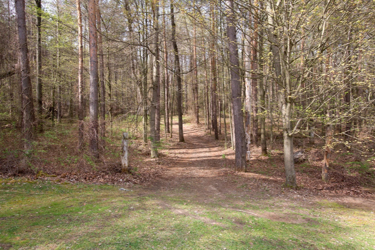 1075 West Sheffield Road Hickory Corners, MI 49060 - Photo 25 of 28 15019730_21