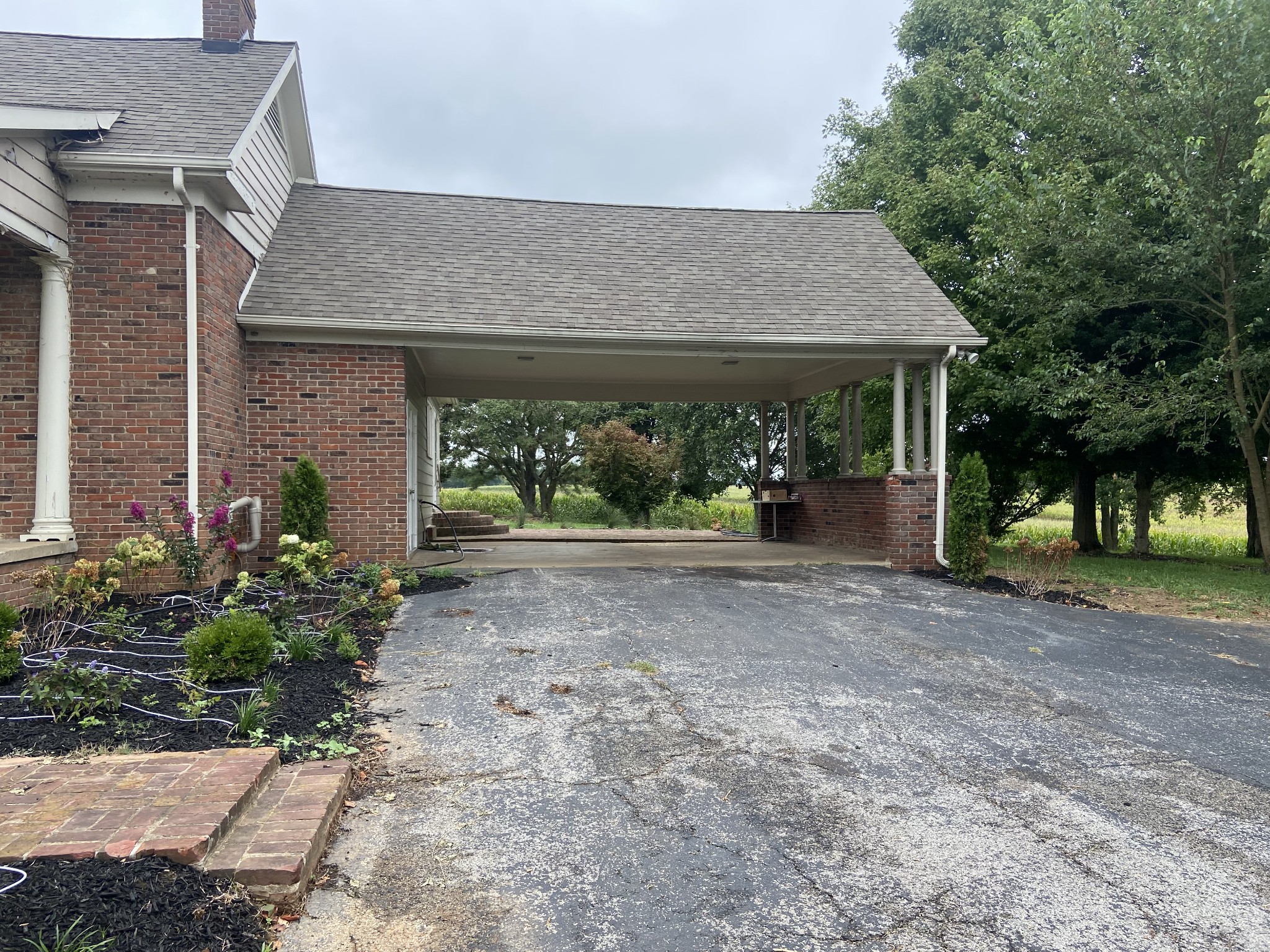 11495 Guthrie Road Guthrie, KY 42234 - Photo 4 of 43 a view of a house with potted plants and a large tree