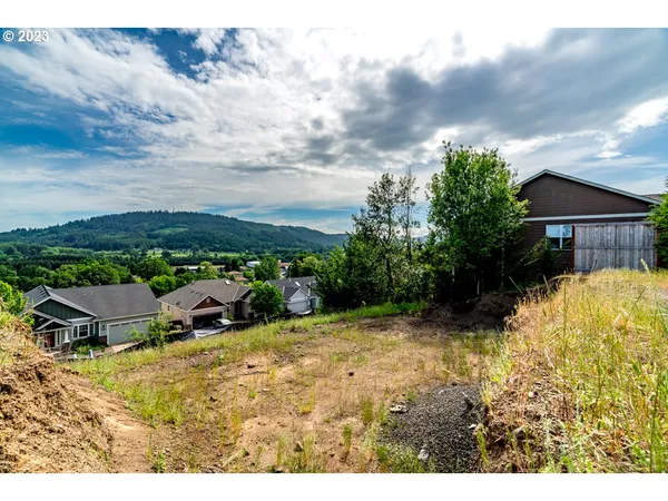 a view of a backyard with plants and lake view