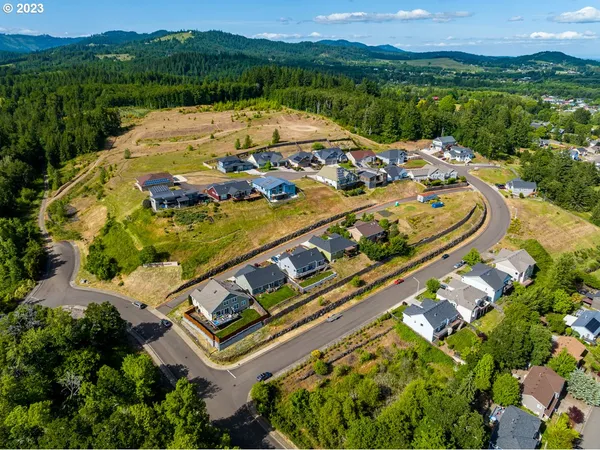 a view of a swimming pool with a yard