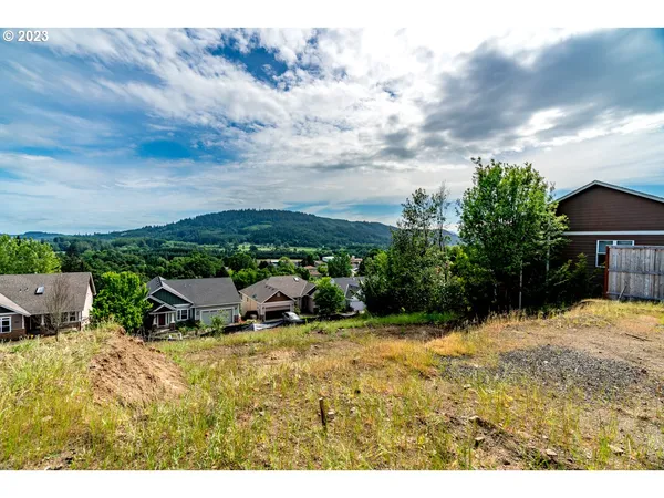 a view of a backyard with swimming pool