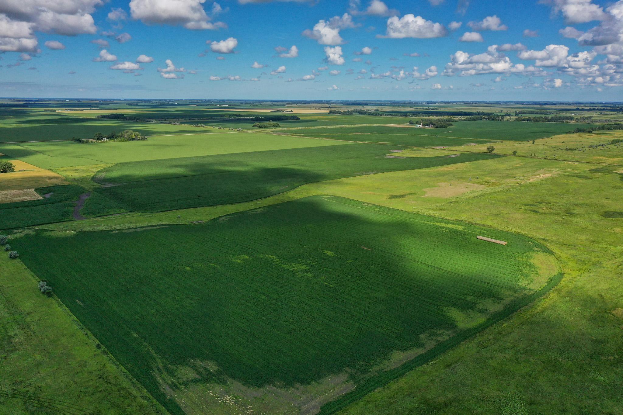 26 St Tanberg Twp Mn 56579 Rothsay, MN 56579 - Photo 11 of 47