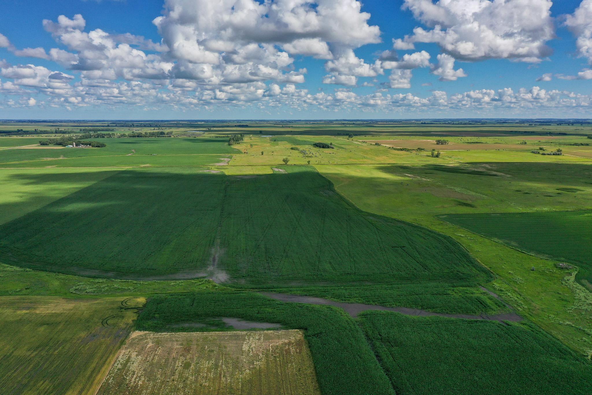 26 St Tanberg Twp Mn 56579 Rothsay, MN 56579 - Photo 12 of 47