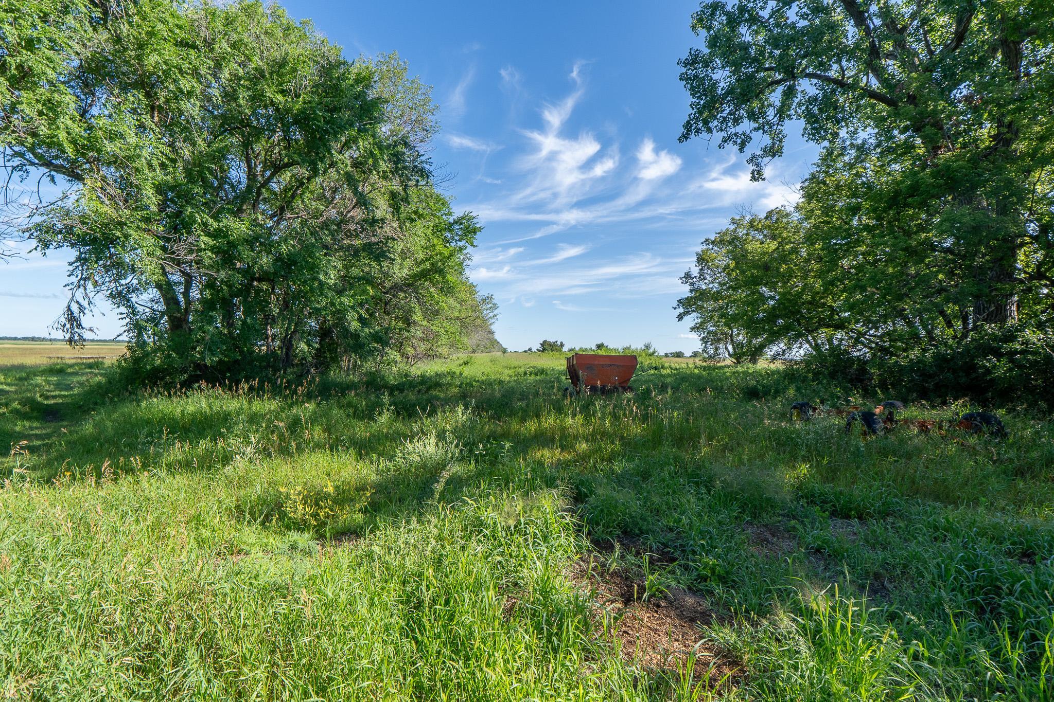 26 St Tanberg Twp Mn 56579 Rothsay, MN 56579 - Photo 13 of 47