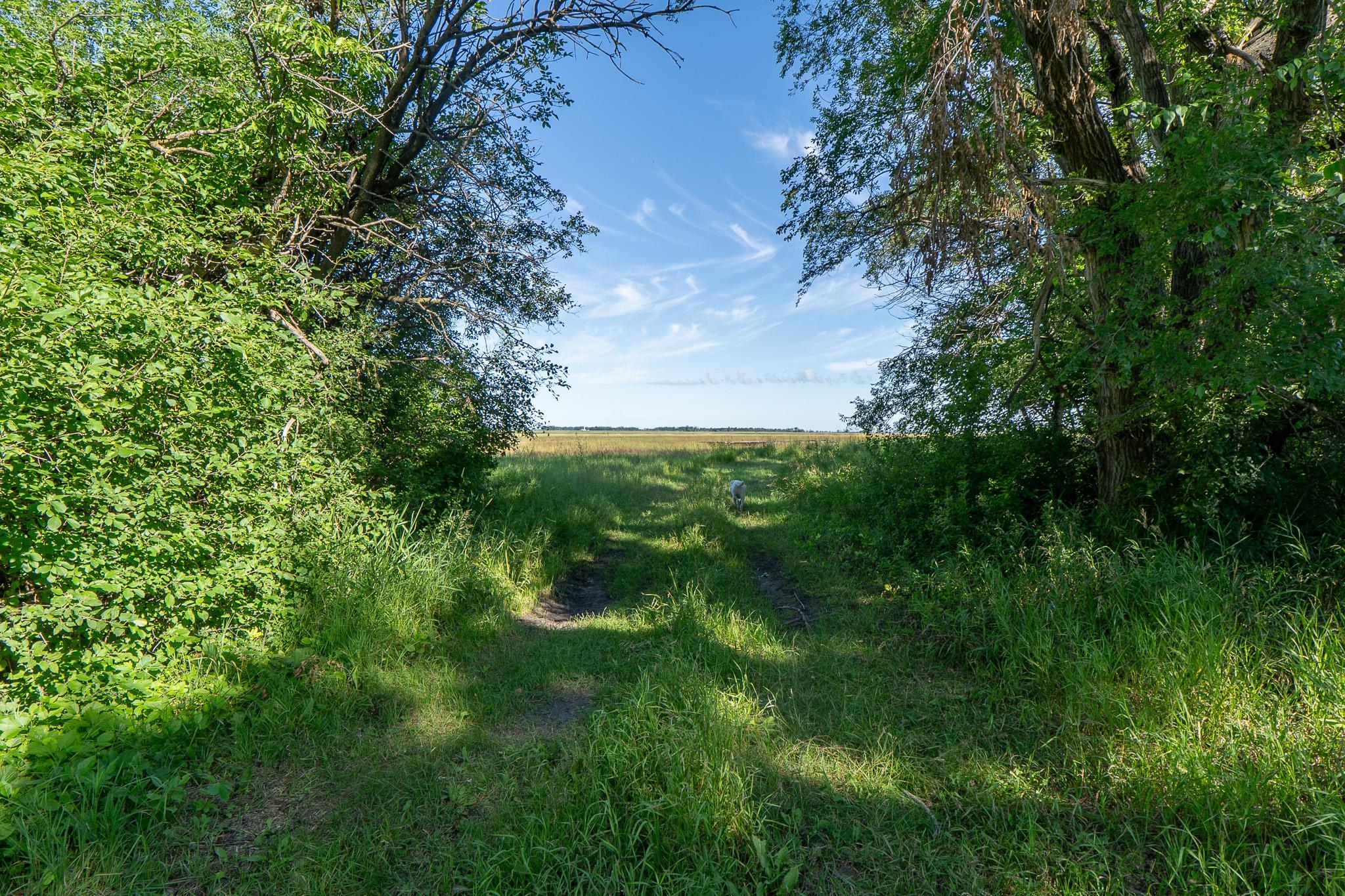 26 St Tanberg Twp Mn 56579 Rothsay, MN 56579 - Photo 14 of 47