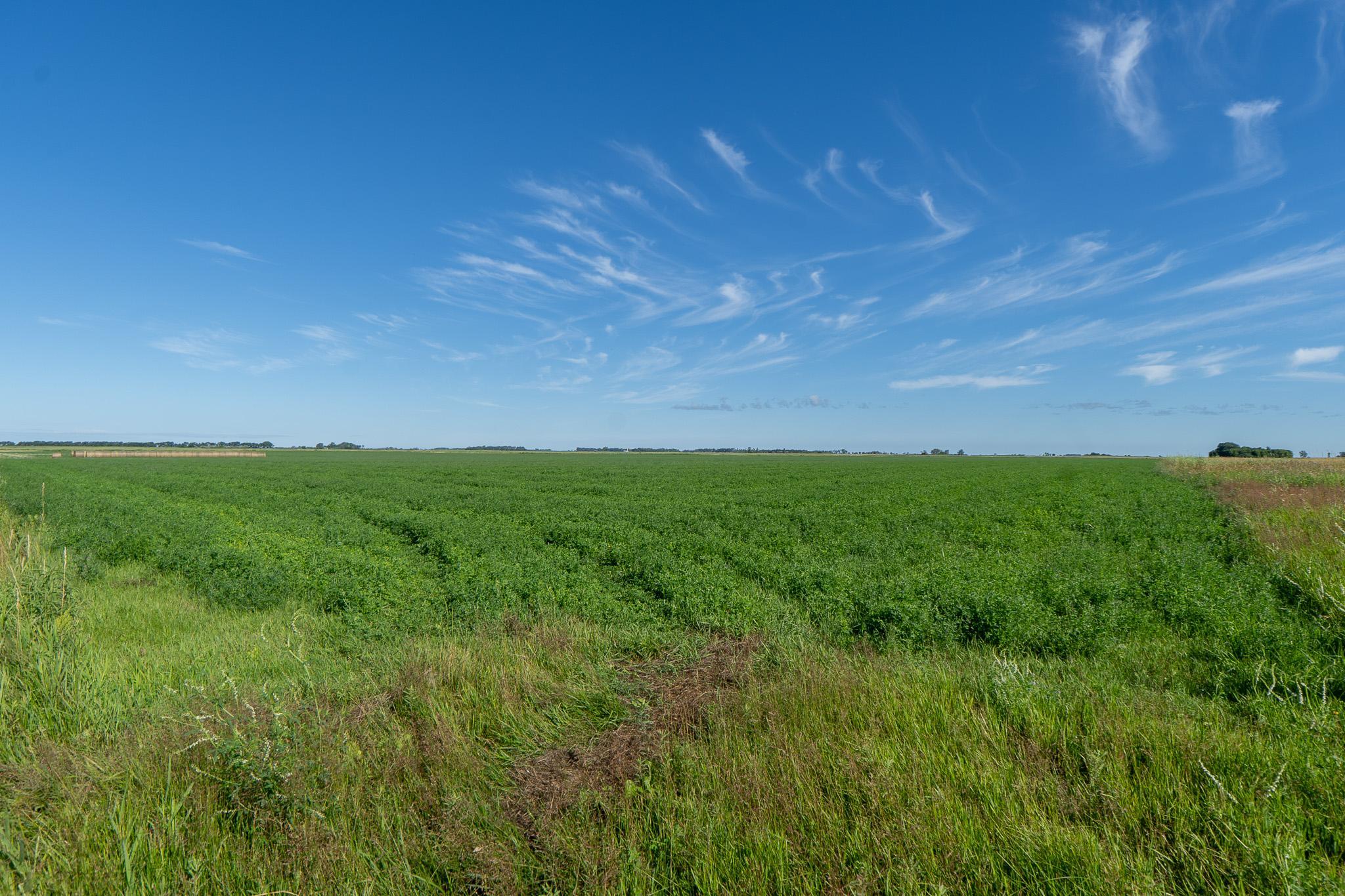 26 St Tanberg Twp Mn 56579 Rothsay, MN 56579 - Photo 17 of 47