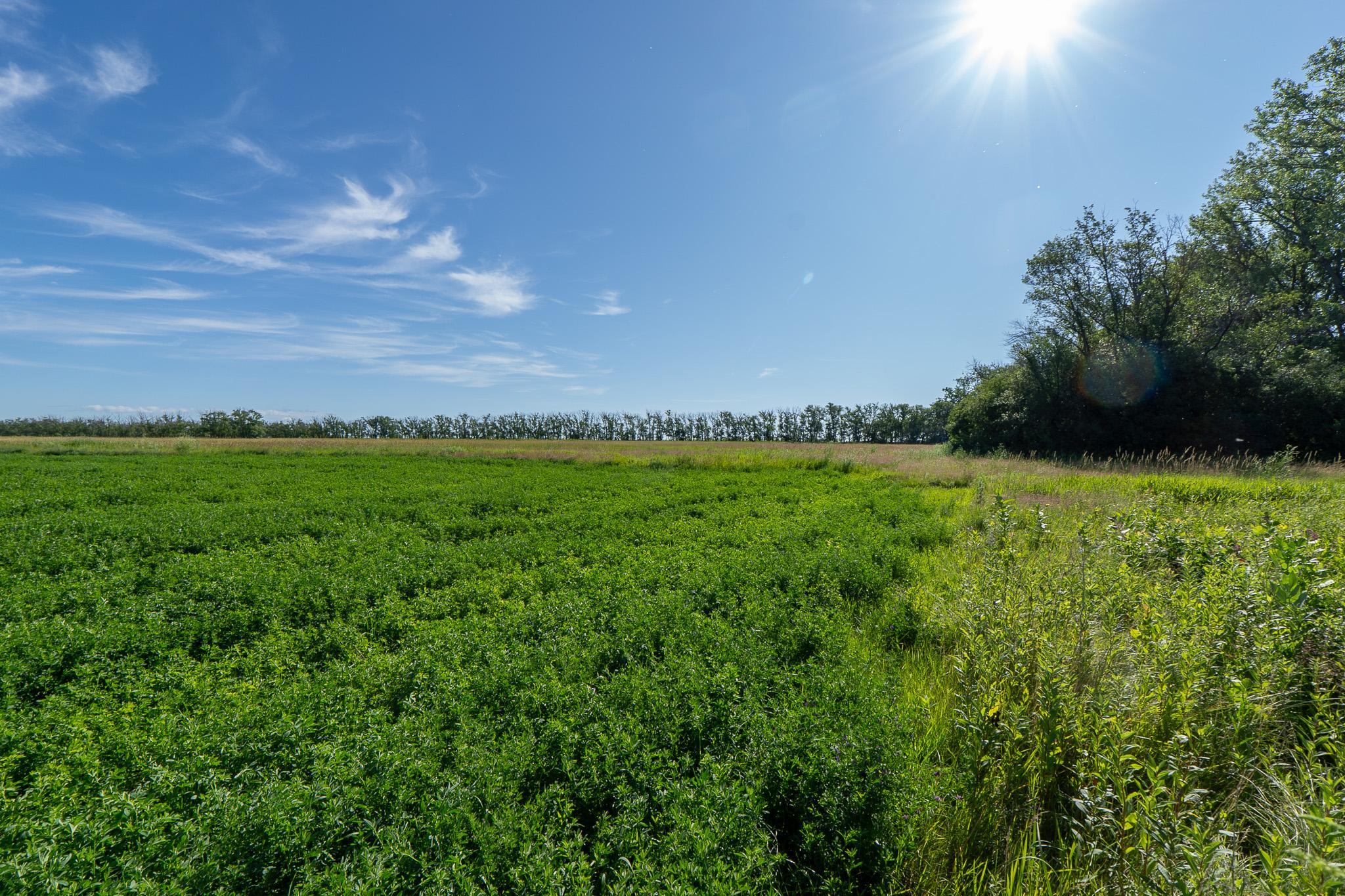 26 St Tanberg Twp Mn 56579 Rothsay, MN 56579 - Photo 18 of 47