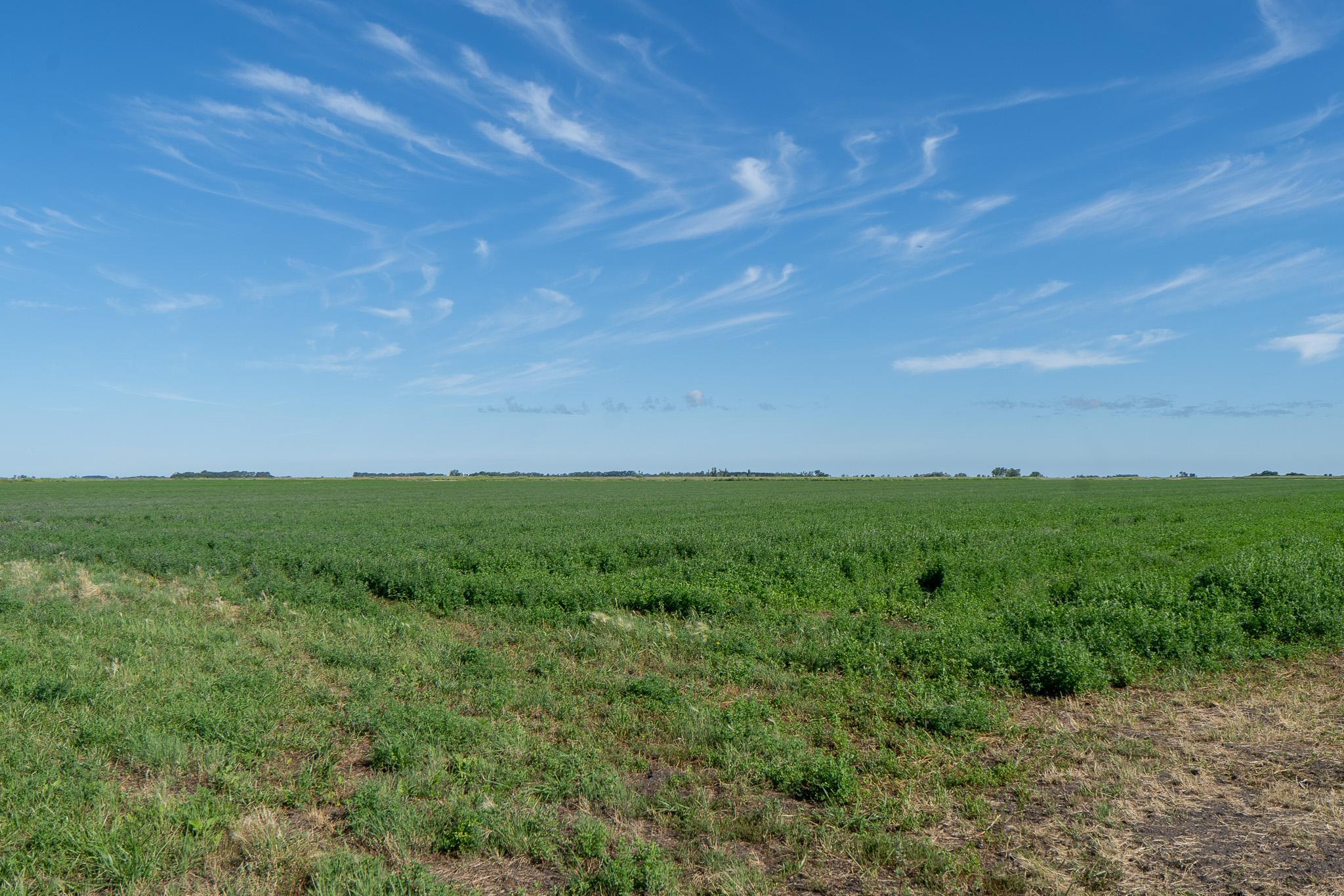 26 St Tanberg Twp Mn 56579 Rothsay, MN 56579 - Photo 19 of 47