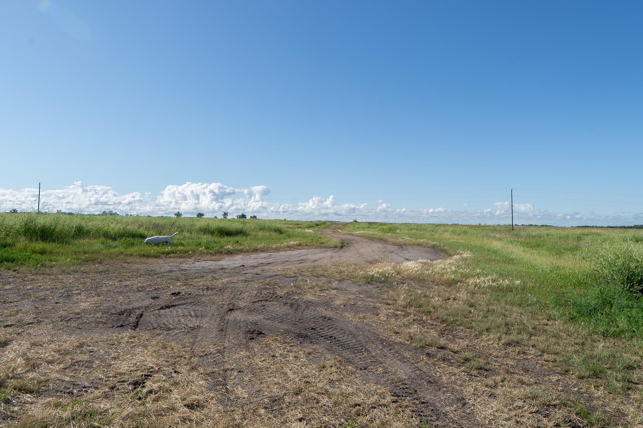 26 St Tanberg Twp Mn 56579 Rothsay, MN 56579 - Photo 20 of 47