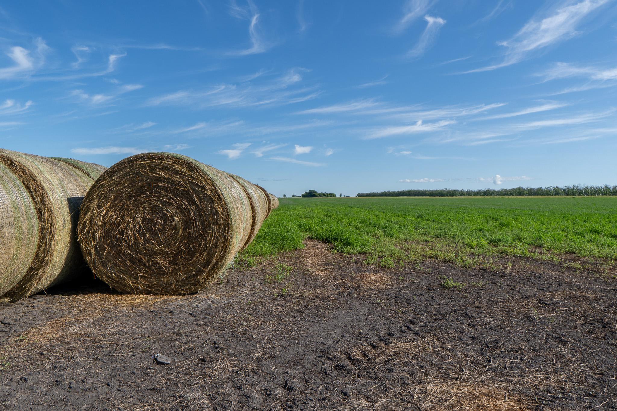 26 St Tanberg Twp Mn 56579 Rothsay, MN 56579 - Photo 22 of 47