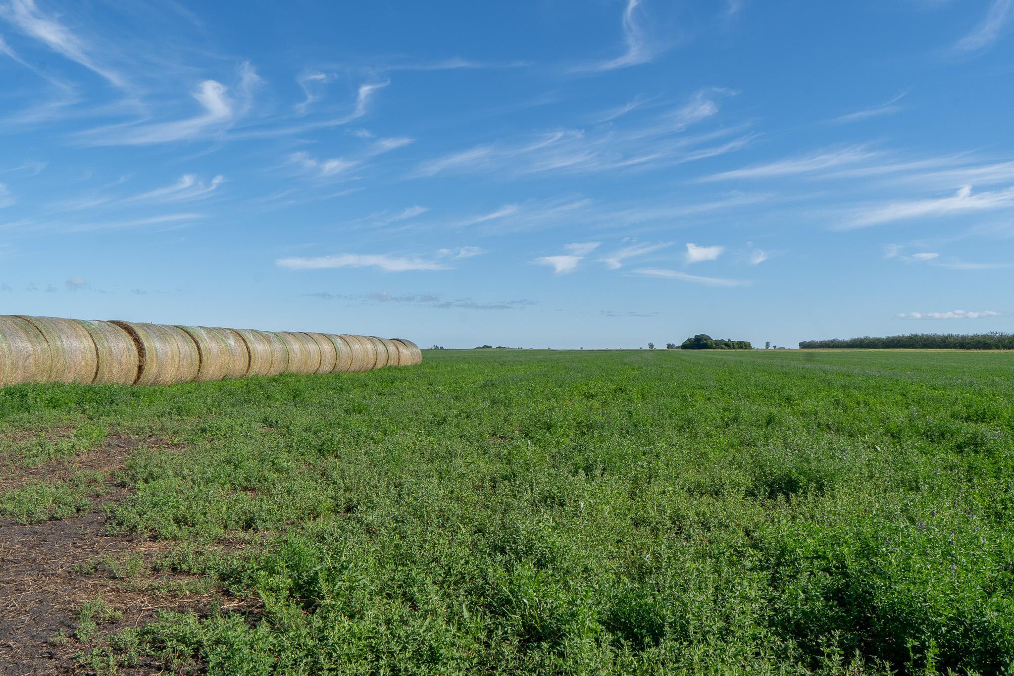 26 St Tanberg Twp Mn 56579 Rothsay, MN 56579 - Photo 23 of 47