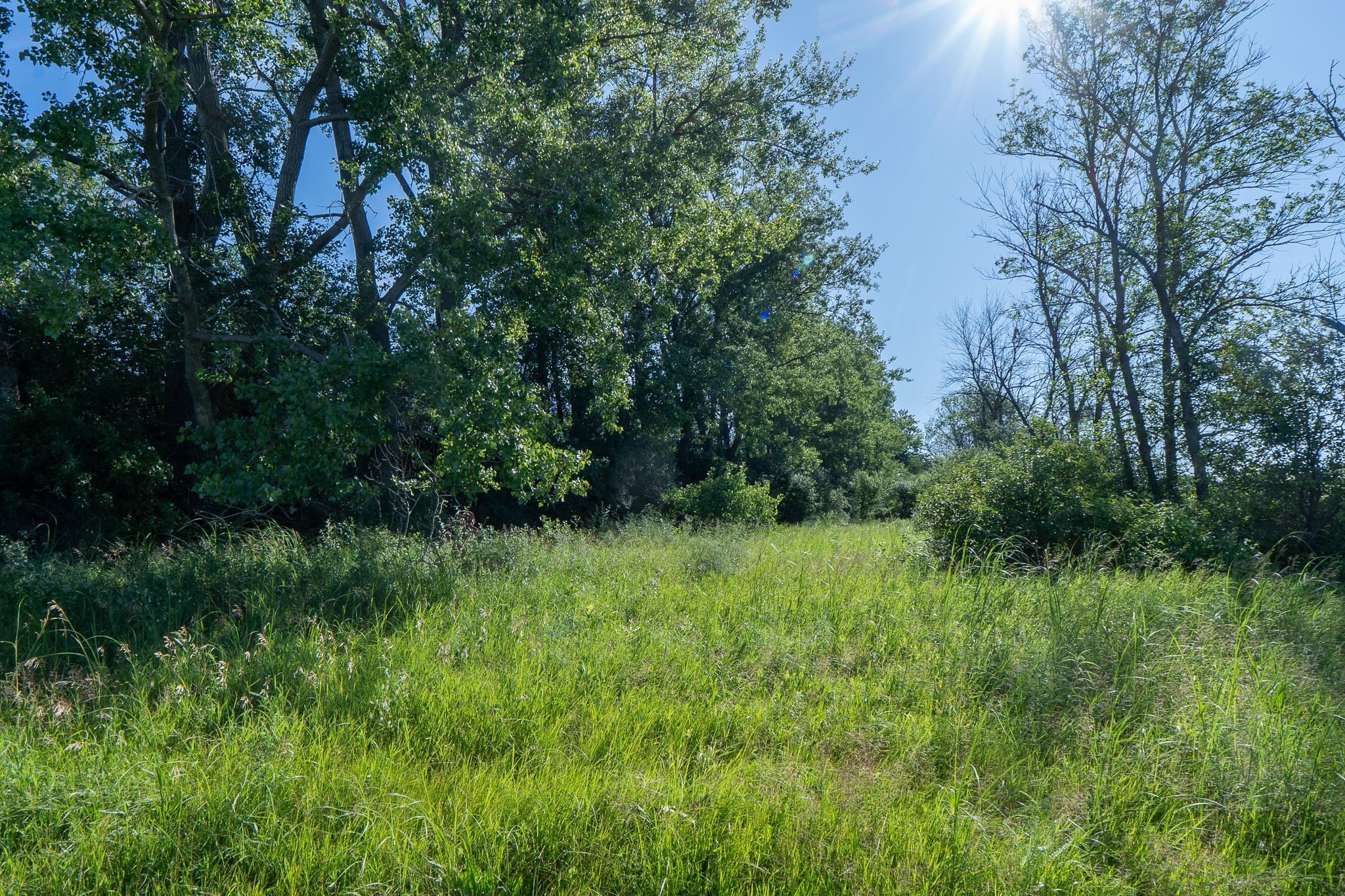26 St Tanberg Twp Mn 56579 Rothsay, MN 56579 - Photo 25 of 47