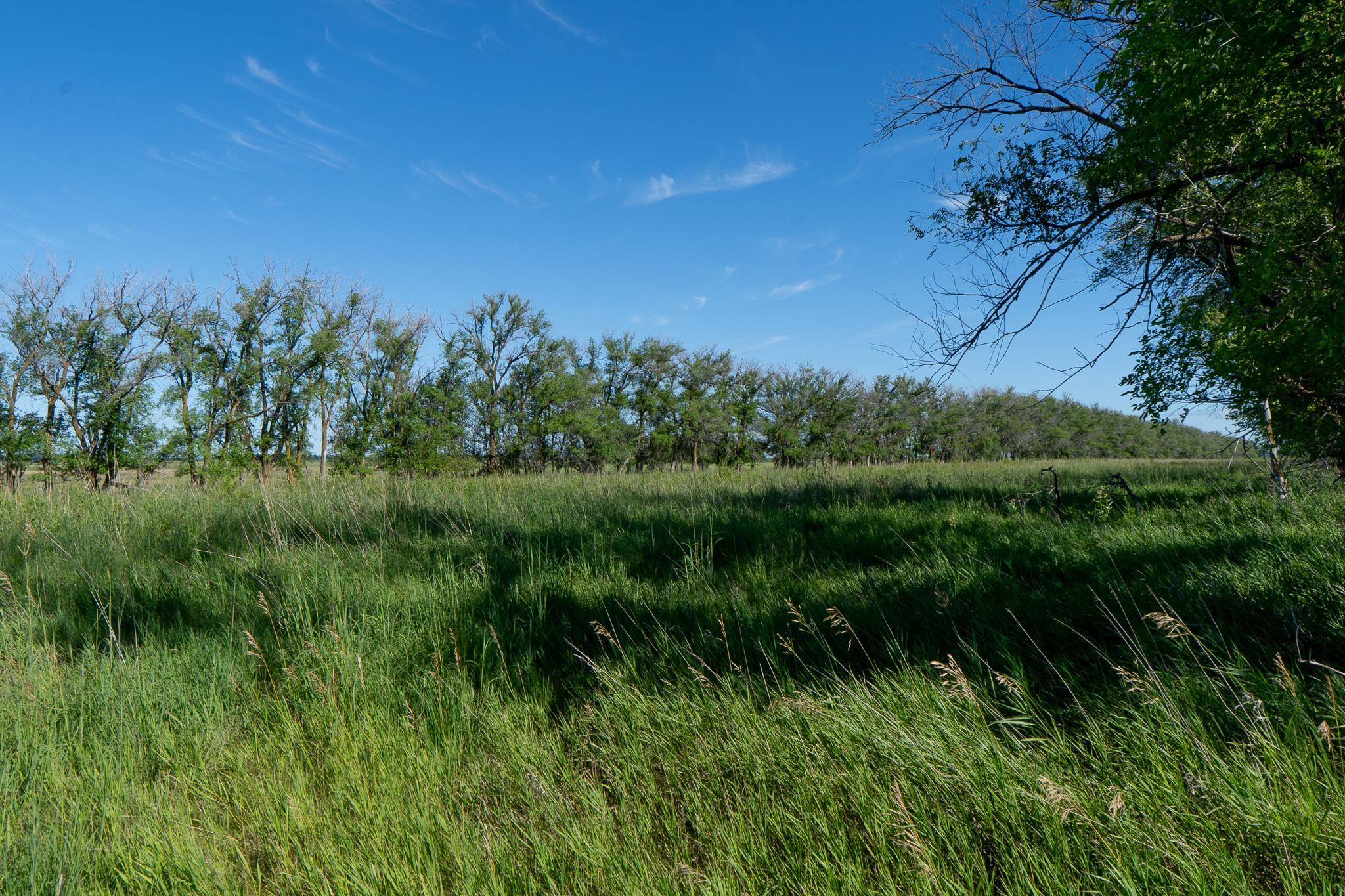 26 St Tanberg Twp Mn 56579 Rothsay, MN 56579 - Photo 31 of 47