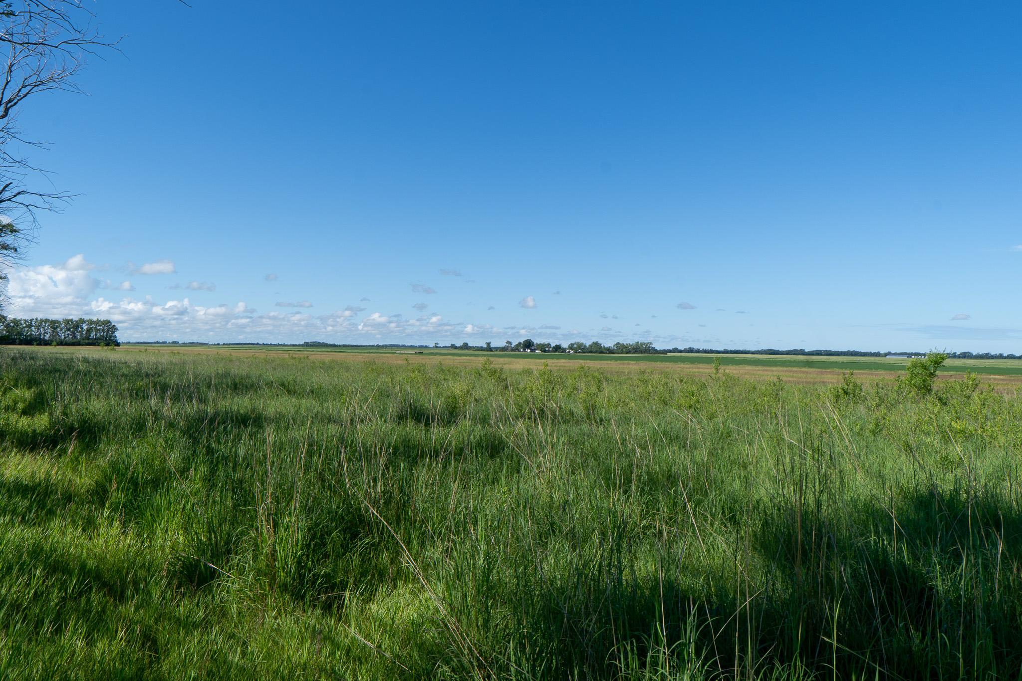 26 St Tanberg Twp Mn 56579 Rothsay, MN 56579 - Photo 32 of 47