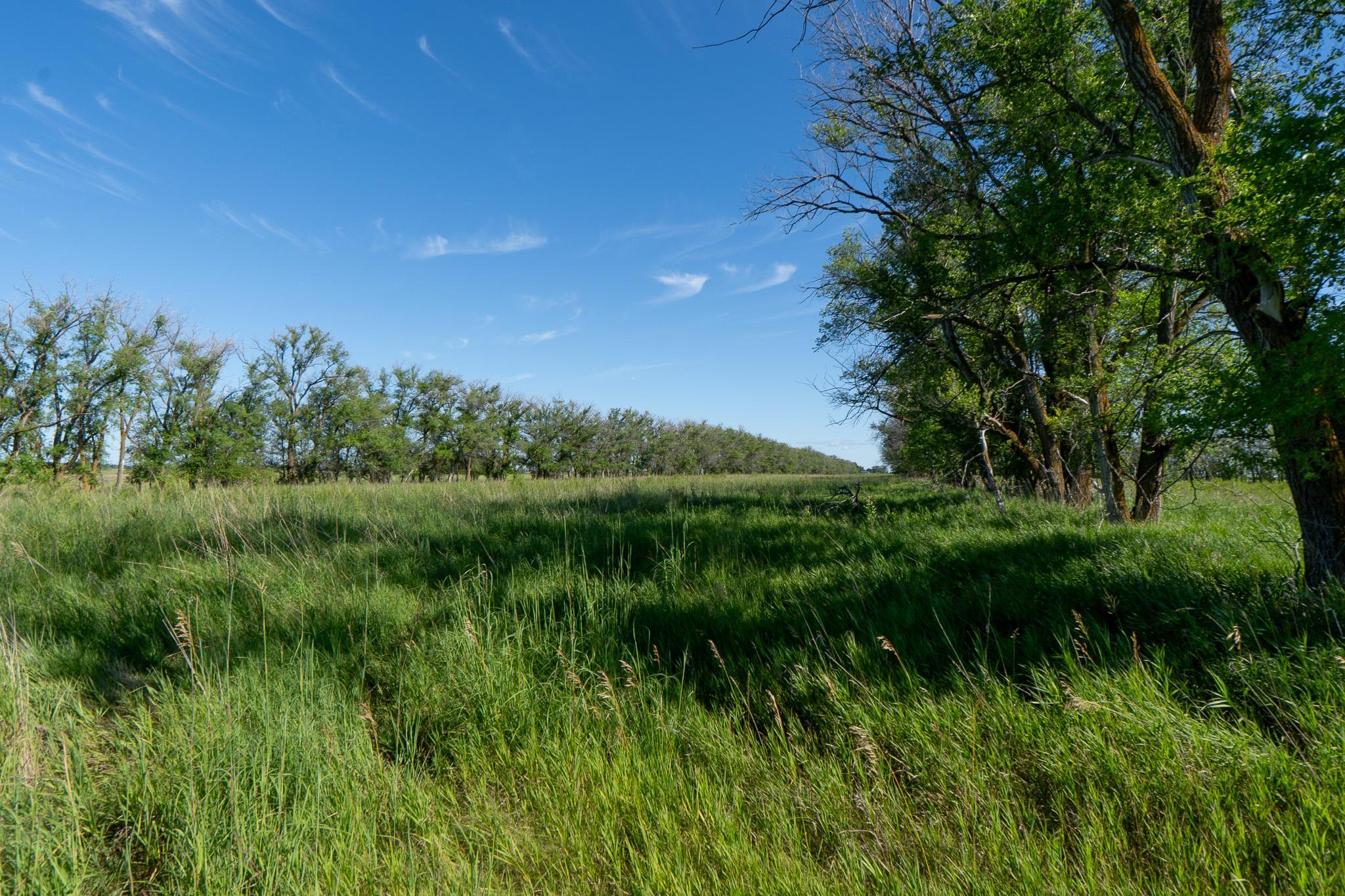 26 St Tanberg Twp Mn 56579 Rothsay, MN 56579 - Photo 33 of 47