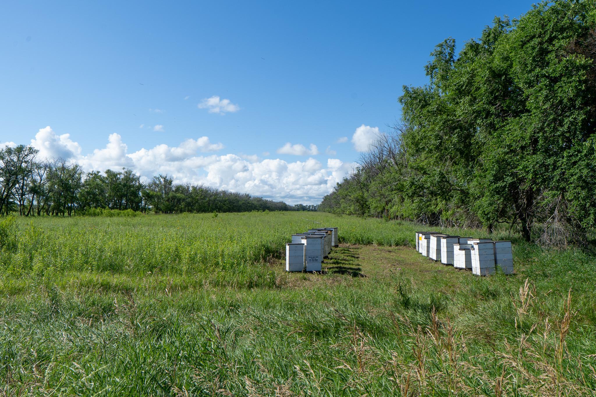 26 St Tanberg Twp Mn 56579 Rothsay, MN 56579 - Photo 34 of 47