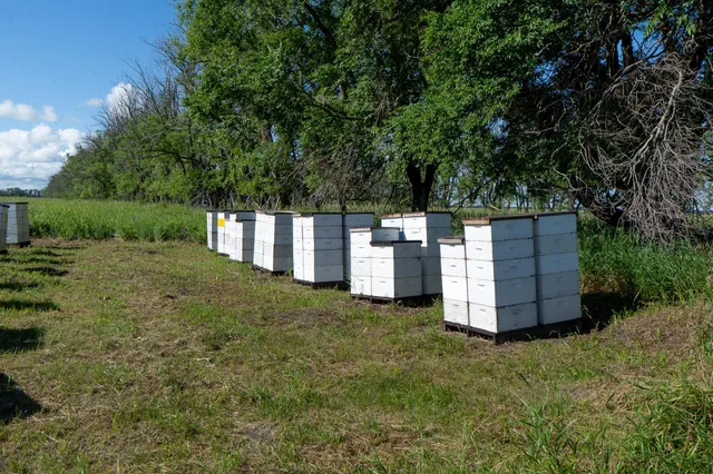 $1,350,000 | 26 St Tanberg Twp Mn 56579, Rothsay, MN 56579