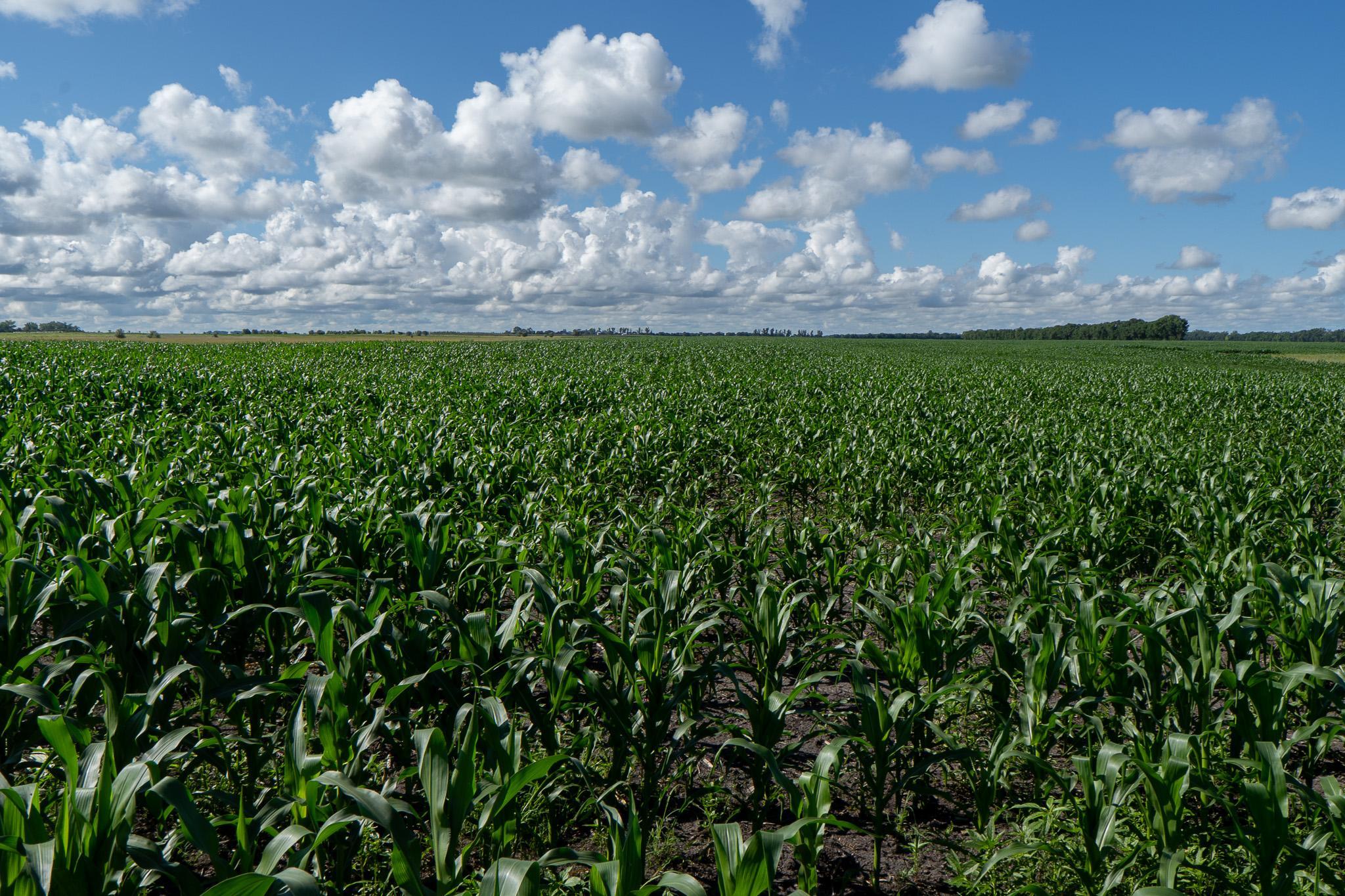26 St Tanberg Twp Mn 56579 Rothsay, MN 56579 - Photo 37 of 47