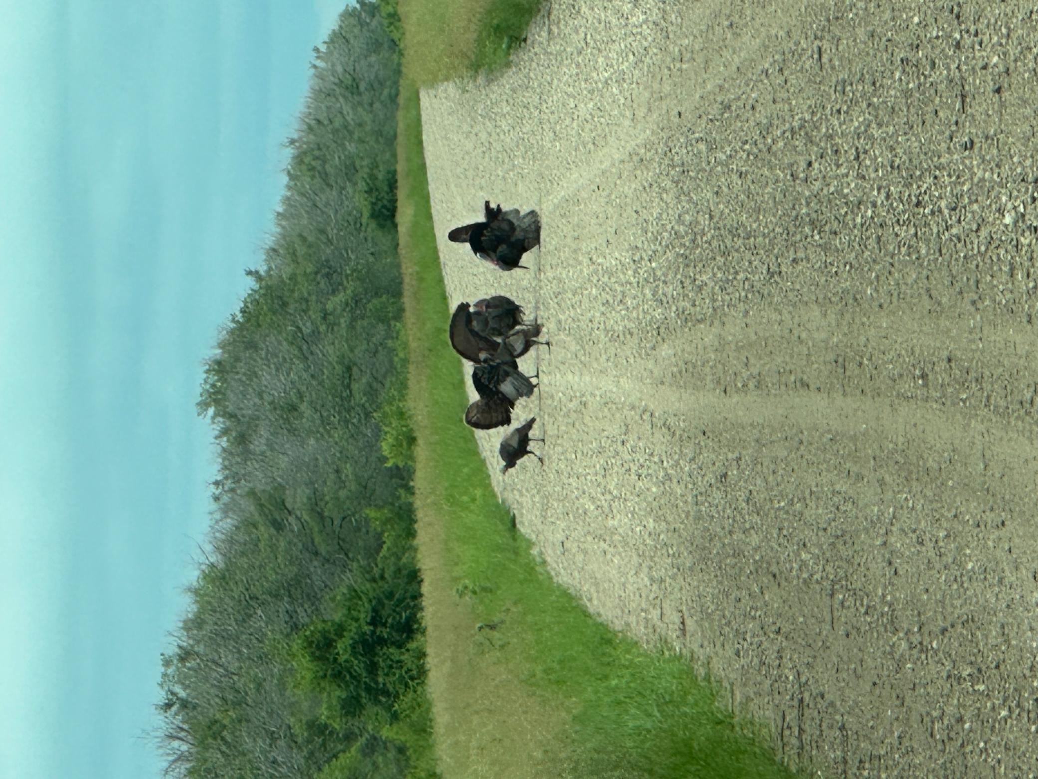 26 St Tanberg Twp Mn 56579 Rothsay, MN 56579 - Photo 41 of 47