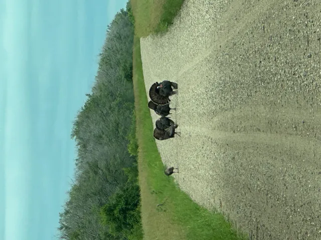 $1,350,000 | 26 St Tanberg Twp Mn 56579, Rothsay, MN 56579