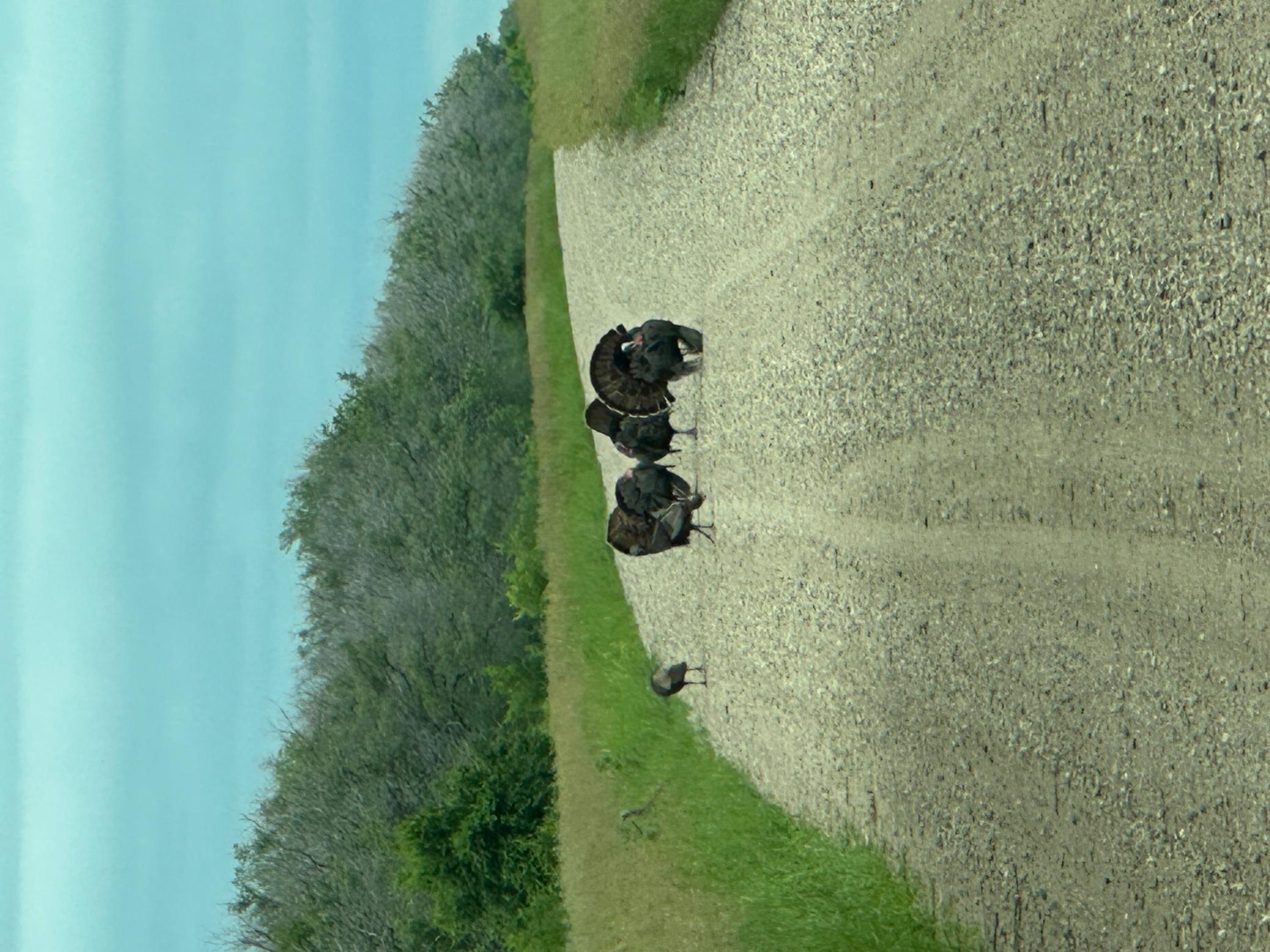 26 St Tanberg Twp Mn 56579 Rothsay, MN 56579 - Photo 42 of 47