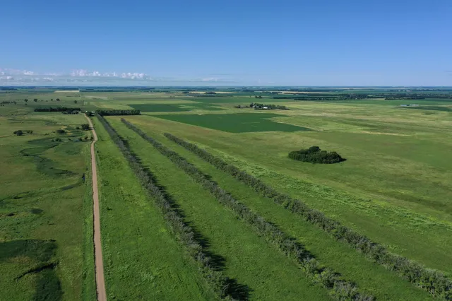 $1,350,000 | 26 St Tanberg Twp Mn 56579, Rothsay, MN 56579