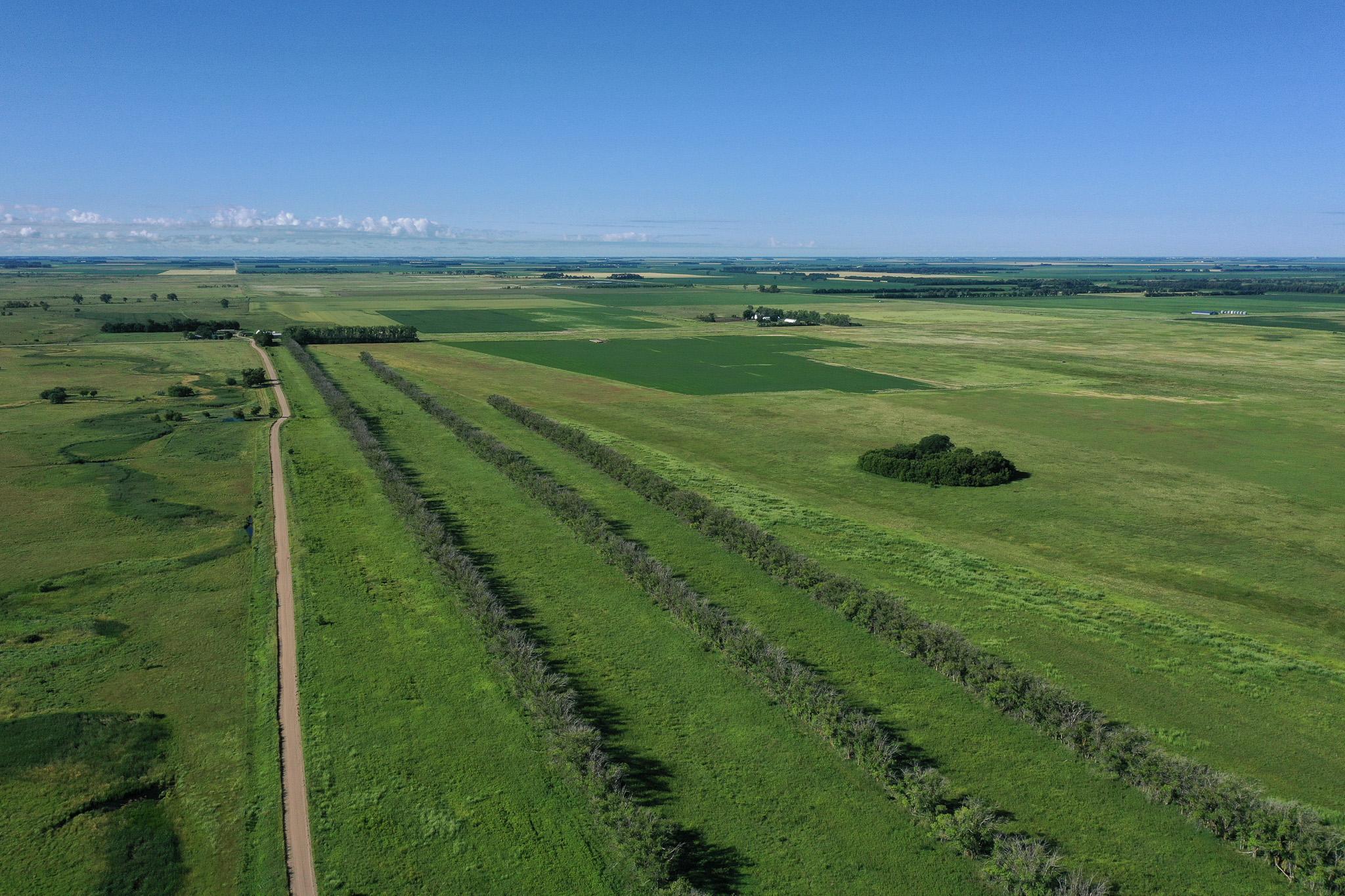 26 St Tanberg Twp Mn 56579 Rothsay, MN 56579 - Photo 6 of 47