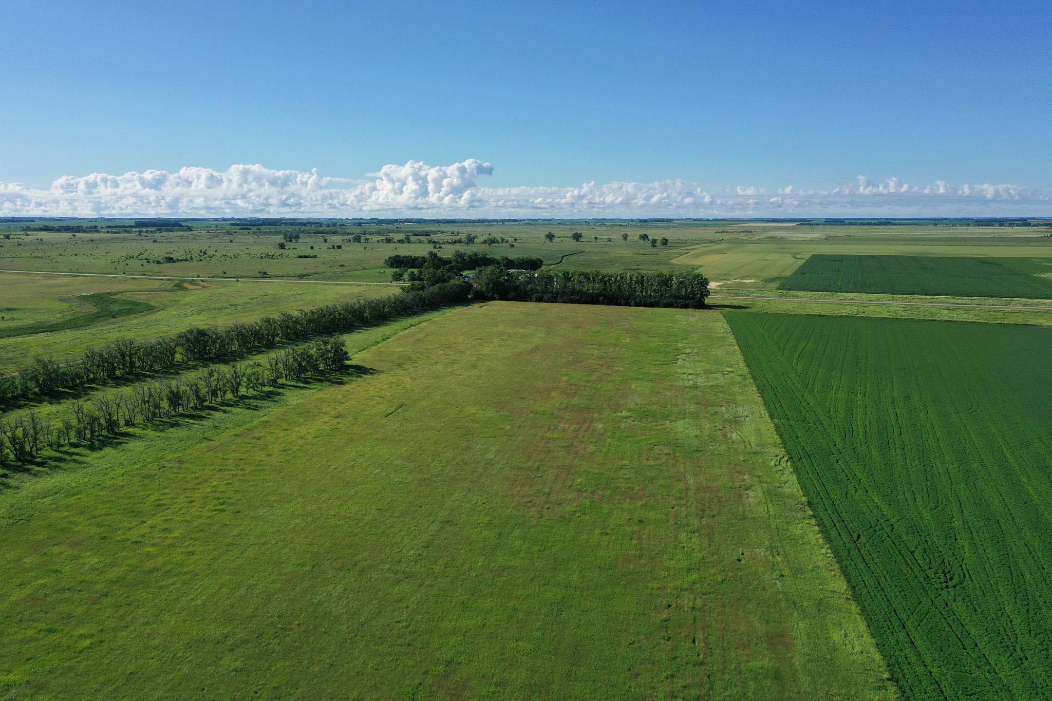 26 St Tanberg Twp Mn 56579 Rothsay, MN 56579 - Photo 8 of 47